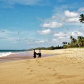 Kedy je najlepší čas na návštevu Srí Lanky?
