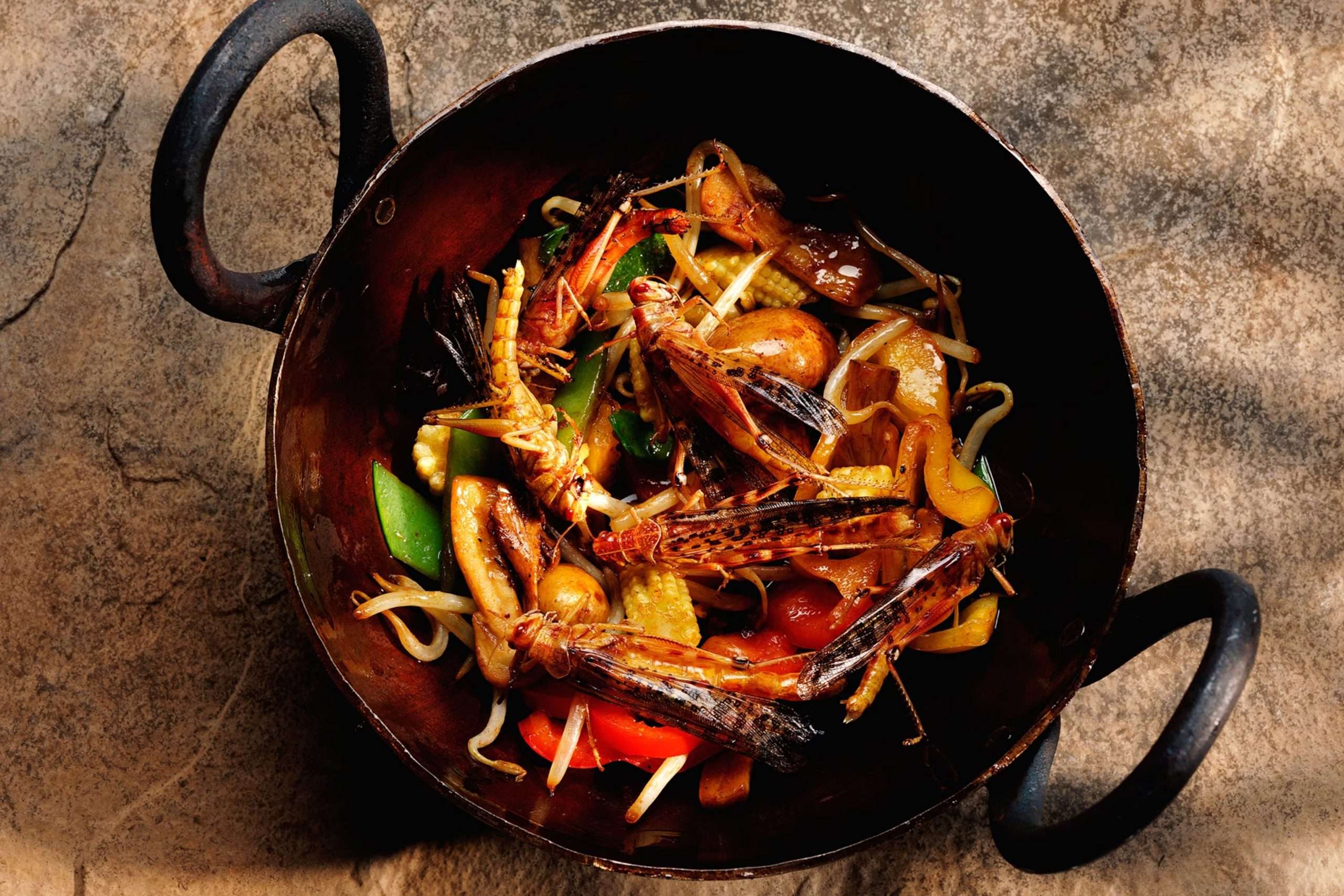 Hmyz sa čoraz častejšie objavuje v obľúbených jedlách po tom, čo ho Singapurská agentúra pre potraviny v roku 2024 schválila na ľudskú spotrebu. © Simon Murrell, Alamy