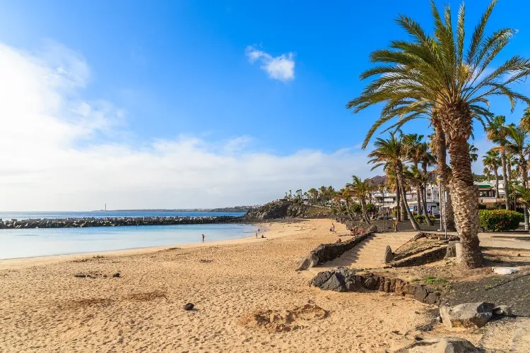 palm-trees-on-flamingo-beach-picture-id543806904